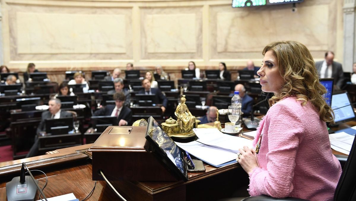 Claudia Ledesma Abdala, presidenta provisional del Senado de la Nación, durante la sesión del jueves.