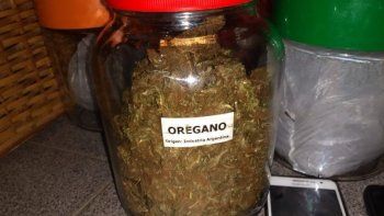 El código para pedir marihuana a una pizzería: 