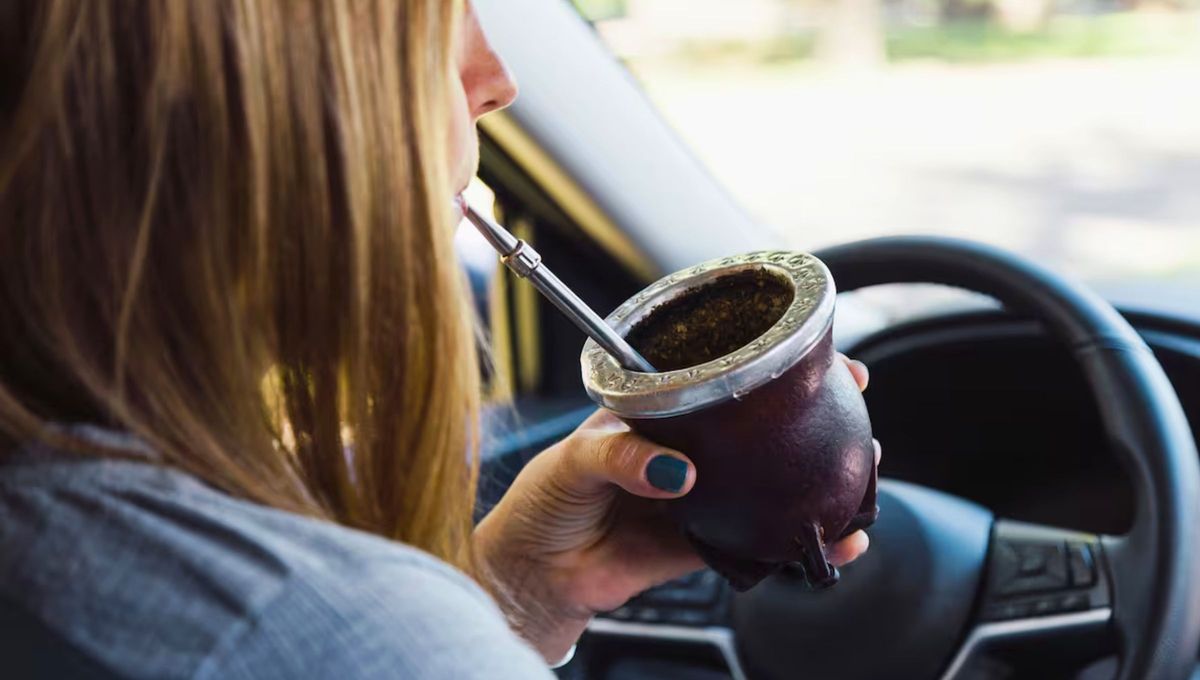 En ambas jurisdicciones, la norma de no tomar mate al volante se enmarca dentro de una política más amplia de “conducción segura”. En ambas jurisdicciones, la norma de no tomar mate al volante se enmarca dentro de una política más amplia de “conducción segura”.