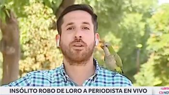 Video: un loro 