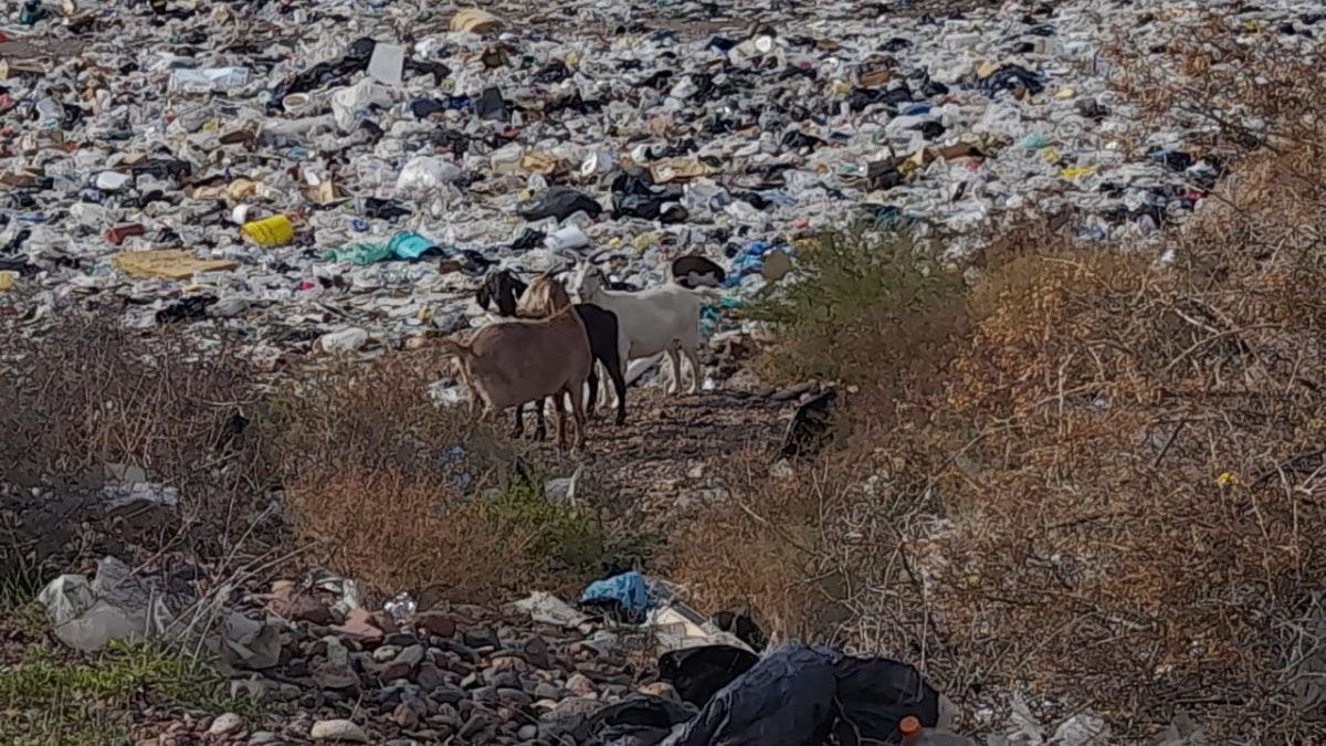 El puesto estaban a metros de un basural. Los detenidos fueron acusados de maltrato animal.