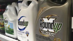 Suben a 18.400 las demandas que enfrenta Bayer por el Glifosato de Monsanto