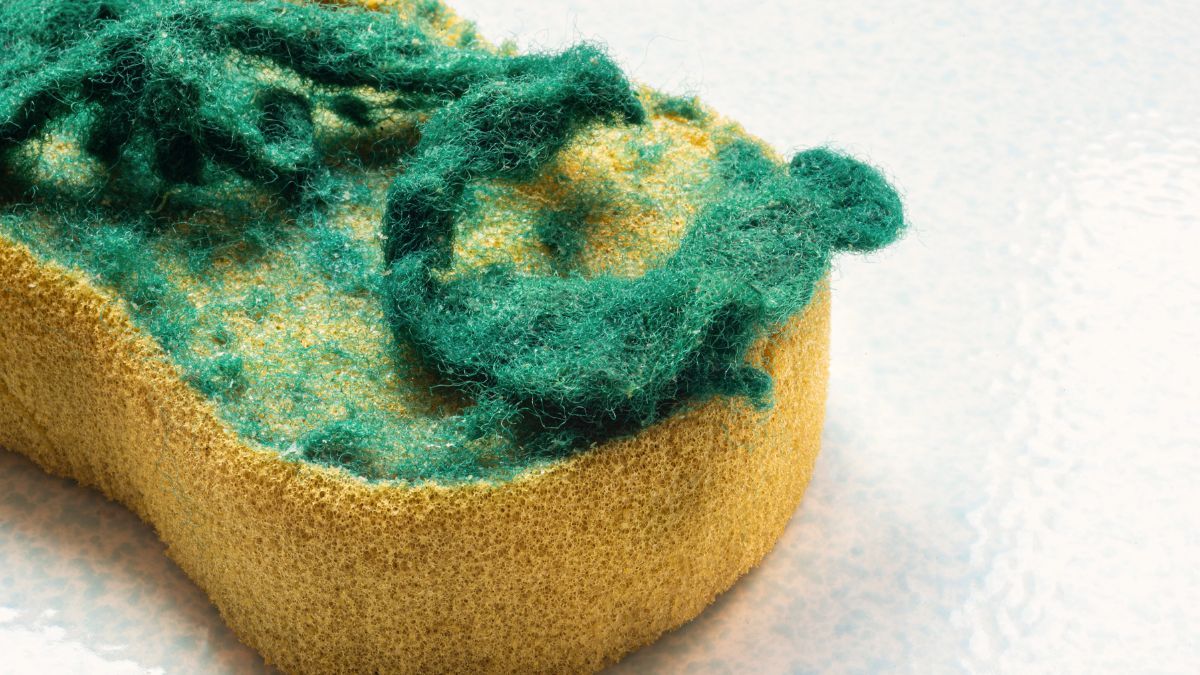 Recicla las esponjas viejas que tengas en casa y dales una nueva utilidad con esta hermosa propuesta de reciclaje DIY. Recicla las esponjas viejas que tengas en casa y dales una nueva utilidad con esta hermosa propuesta de reciclaje DIY.