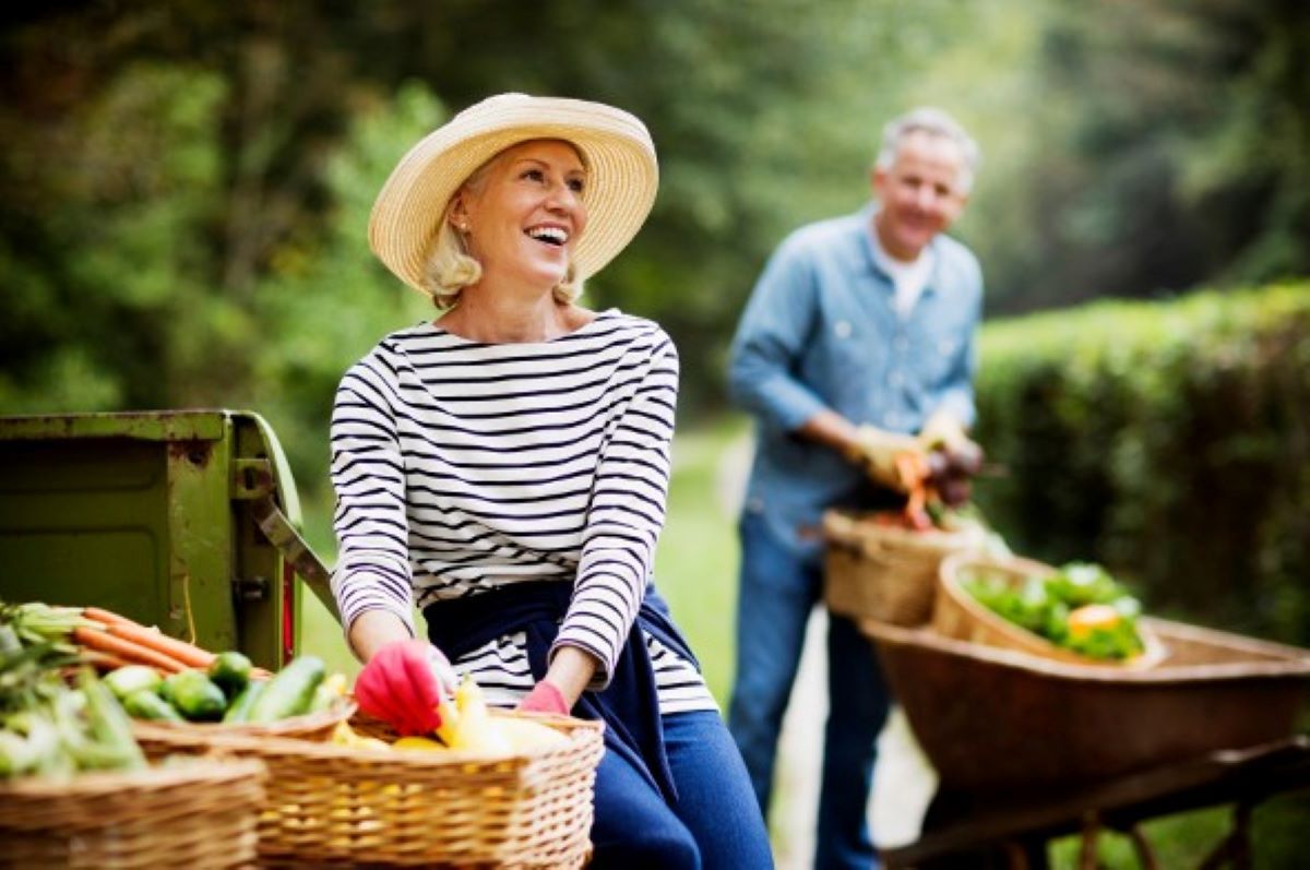 El retiro puede llegar antes si seguimos algunos consejos. El retiro puede llegar antes si seguimos algunos consejos.
