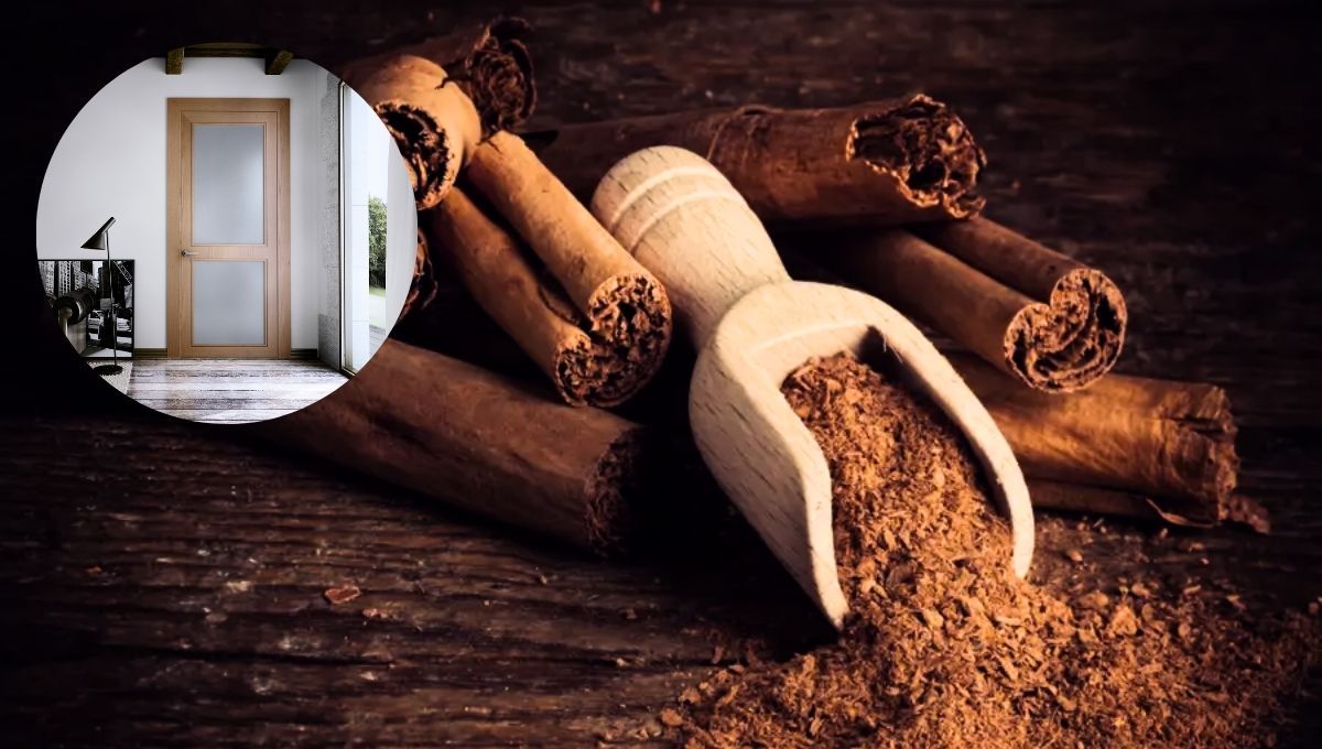 Colocar una cucharada de canela detrás de la puerta puede darte grandes beneficios