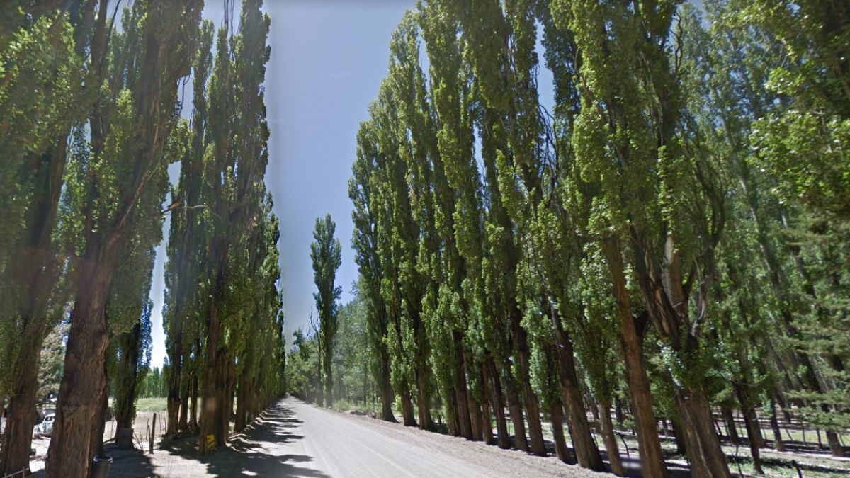 Un joven de 17 años murió en un choque en Uspallata