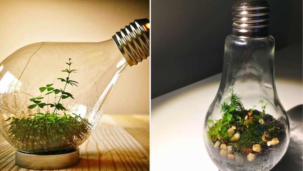 Así quedaría esta fabulosa idea de reciclaje. Así quedaría esta fabulosa idea de reciclaje.