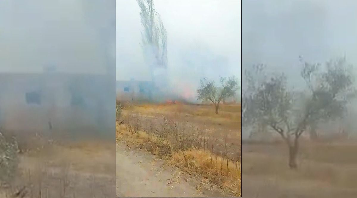 En vivo: fotos y videos del fuerte Zonda en Mendoza