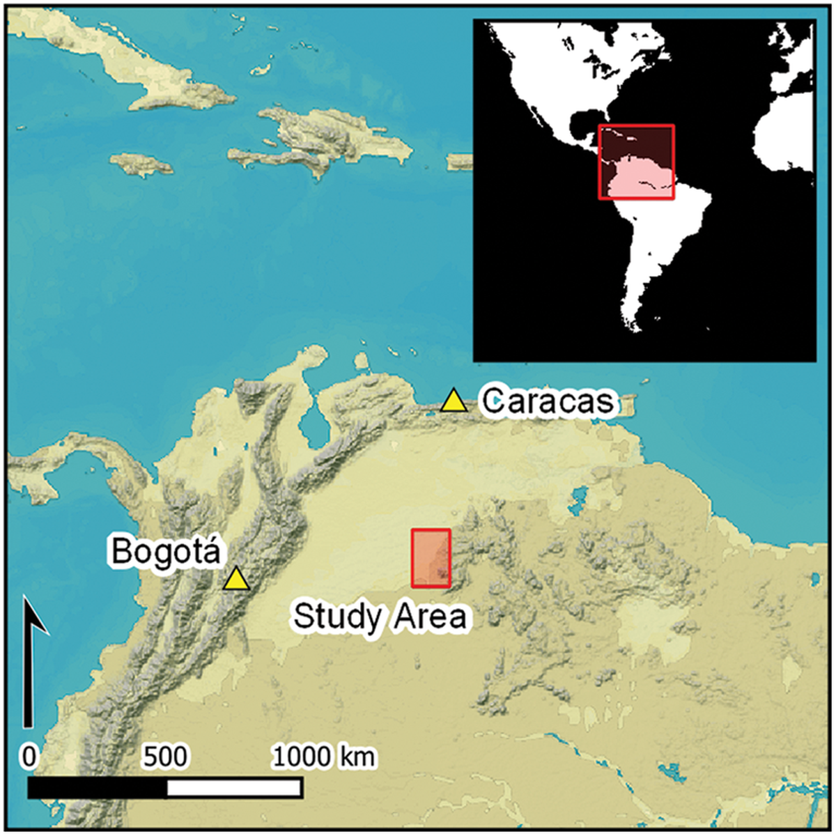 El área en la que se realizó el descubrimiento. El área en la que se realizó el descubrimiento.