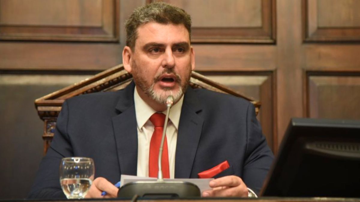 Martín Kerchner, reelecto, encabezó la jura de los senadores con mandato hasta el 2030. Martín Kerchner, reelecto, encabezó la jura de los senadores con mandato hasta el 2030.