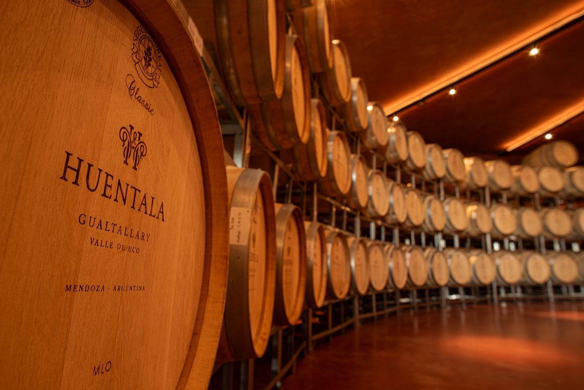 Mendocinos y turistas podrán participar de diferentes propuestas para disfrutar del proceso de vendimia.