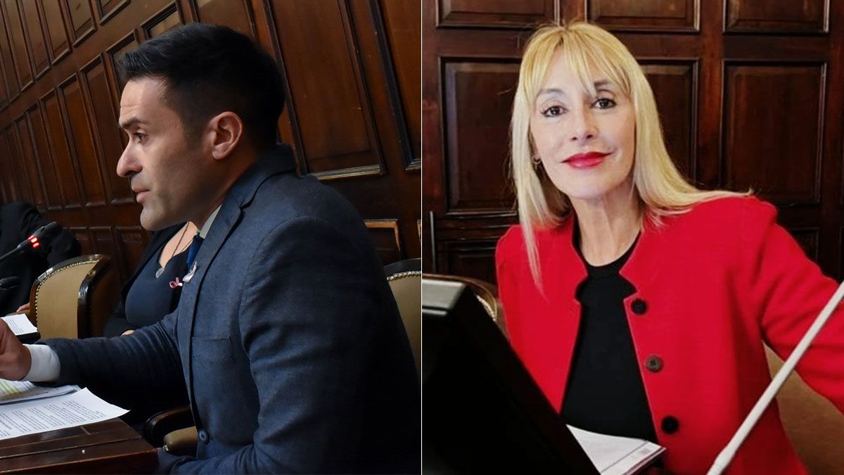 Los diputados Adrián Reche y Gisela Valdez, autor y coautora del proyecto para reformar un artículo de la Constitución Provincial. Los diputados Adrián Reche y Gisela Valdez, autor y coautora del proyecto para reformar un artículo de la Constitución Provincial.