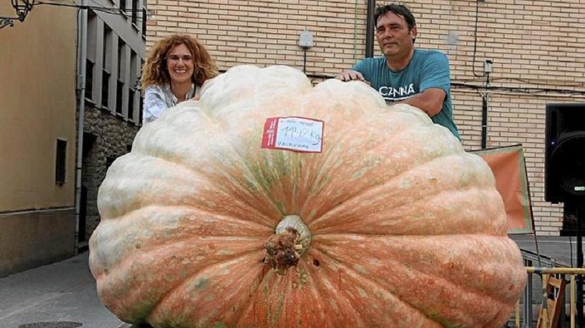 ERste tipo de concursos es muy populoar en México y Estados Unidos. ERste tipo de concursos es muy populoar en México y Estados Unidos.