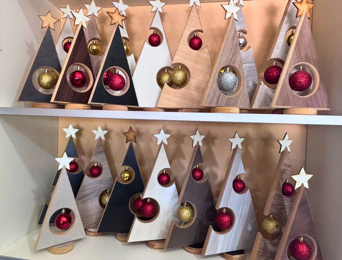 TikTok con pinos navideños y un milagro laboral: el dúo que pasó de la desesperación a venderle a todo el país