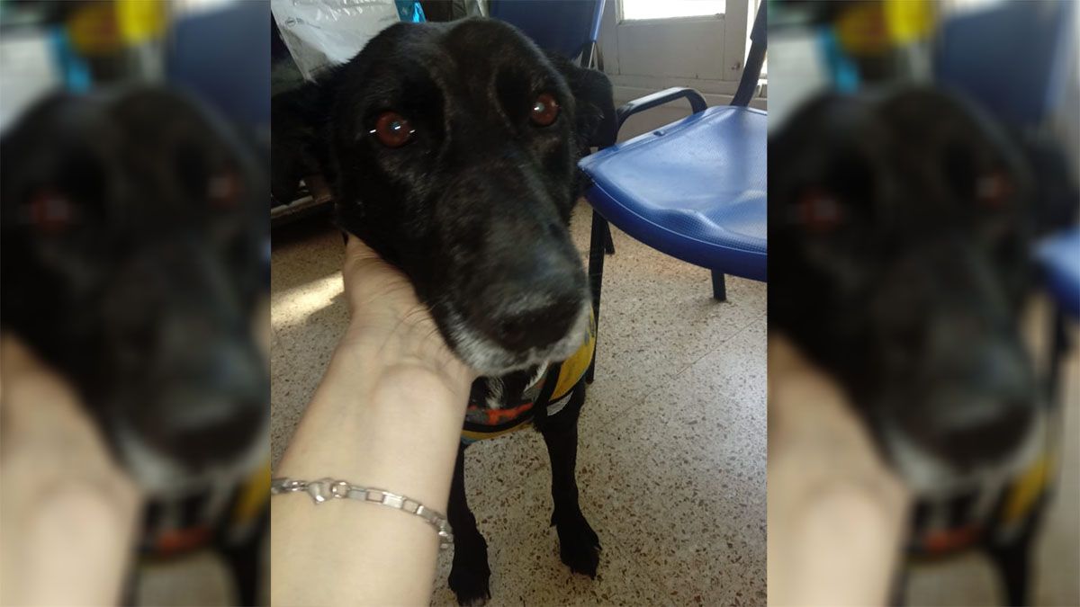 Piden donaciones para seguir el tratamiento de Paola