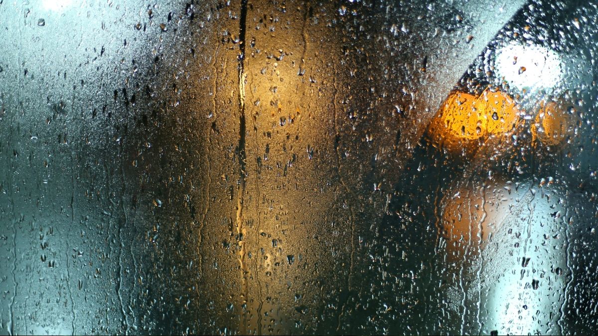 Foto: Unsplash Foto: Unsplash 