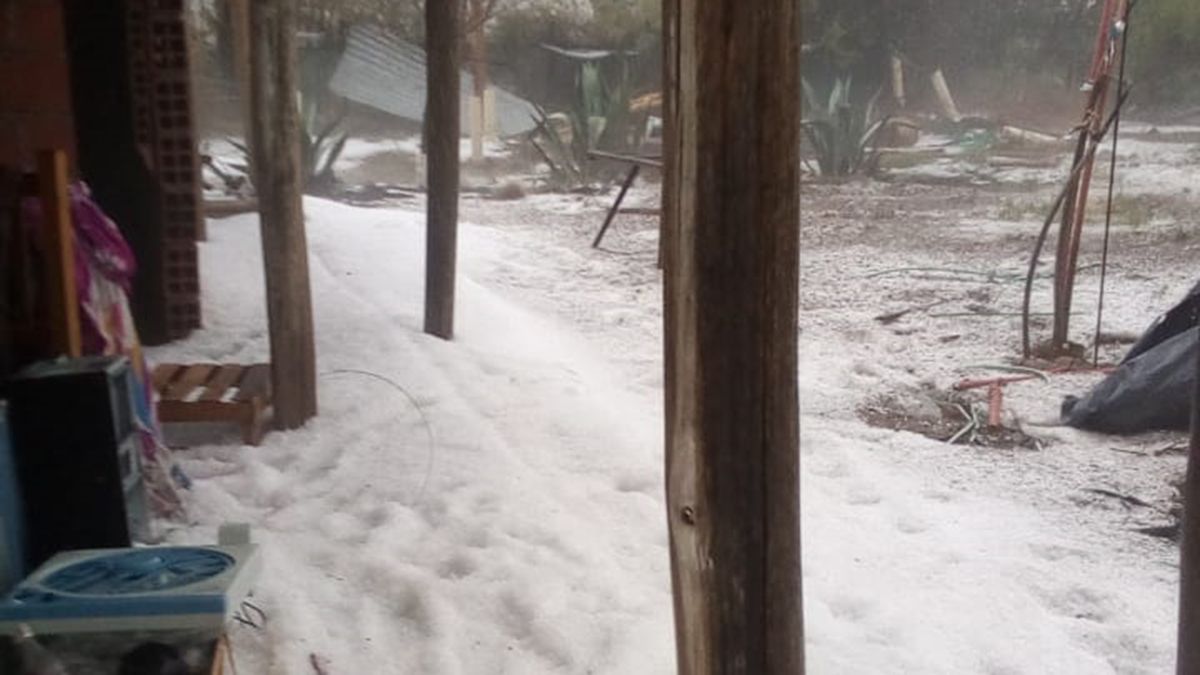 El granizo no dio trégua en el sur de Mendoza y la tormenta afectó varias zonas cultivadas.&nbsp;