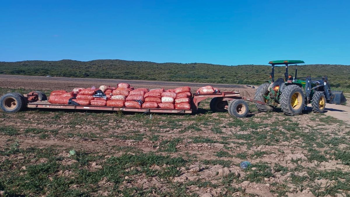 Tragedia en San Rafael: un trabajador golondrina murió aplastado por un tractor en una finca