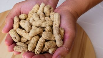 No tires la cáscara de maní porque son un tesoro: para qué sirven y cómo reutilizarlas No tires la cáscara de maní porque son un tesoro: para qué sirven y cómo reutilizarlas