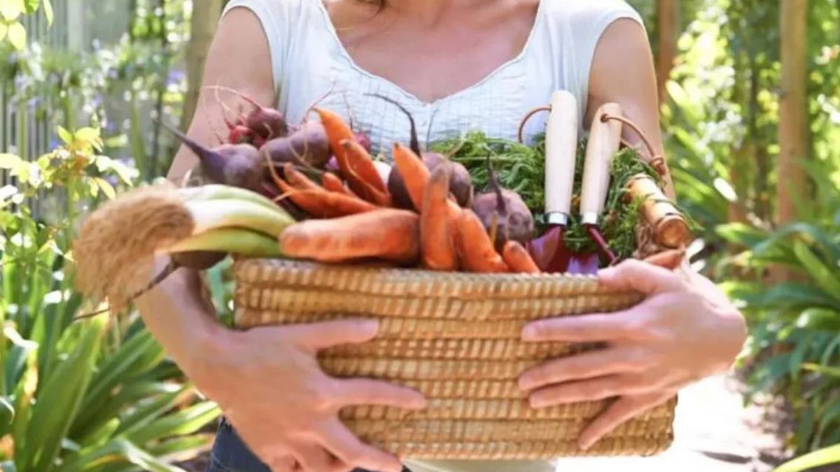 El 12% de los argentinos consume productos que sustituyen la carne a la que han remplazado con vegetales