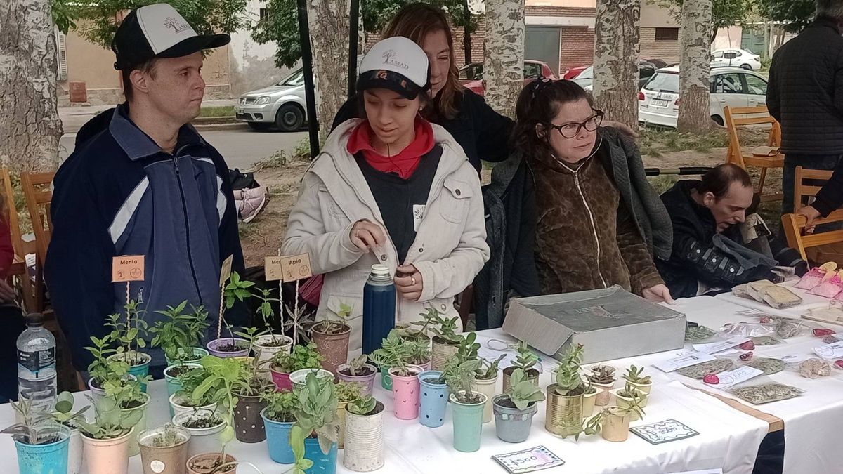 La falta de recursos económico impide tener al día los salarios. La institución pide apoyo económico. La falta de recursos económico impide tener al día los salarios. La institución pide apoyo económico.