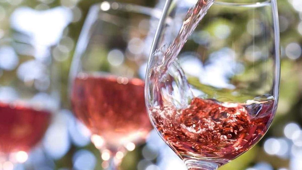 El INV sumó dos varietales para elaborar vinos de calidad tanto blancos como rosados