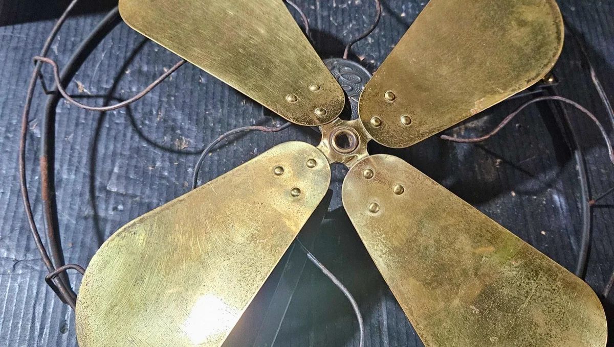 Si tenés las aspas de un ventilador viejo, tenés un tesoro para tu jardín: por qué y para qué sirve