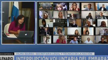 Aborto legal: Ibarra pidió frenar las muertes evitables