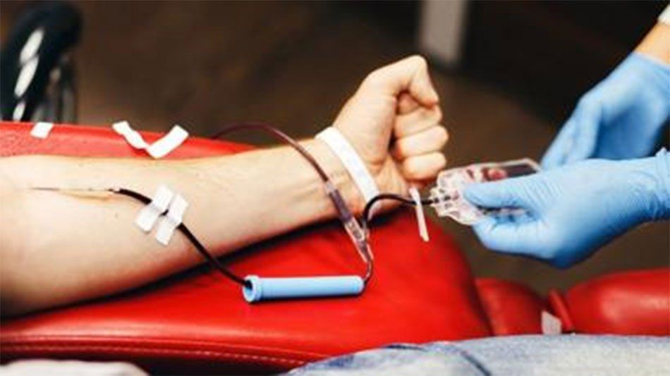 Coronavirus: pidieron a la población que done sangre a pesar de la cuarentena
