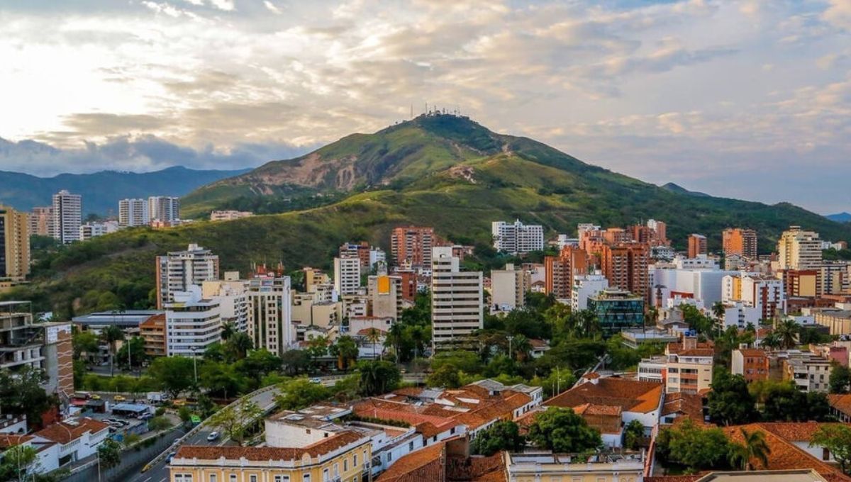 Más de 561 especies de aves conviven en la ciudad