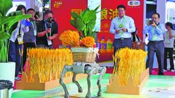 Un robot humanoide transporta una cesta con trigo, frutas y verduras durante la IV Exposición Internacional de Cadenas de Suministro de China, celebrada en Beijing del 22 al 26 de junio. GUO JUNFENG / PARA CHINA DAILY.