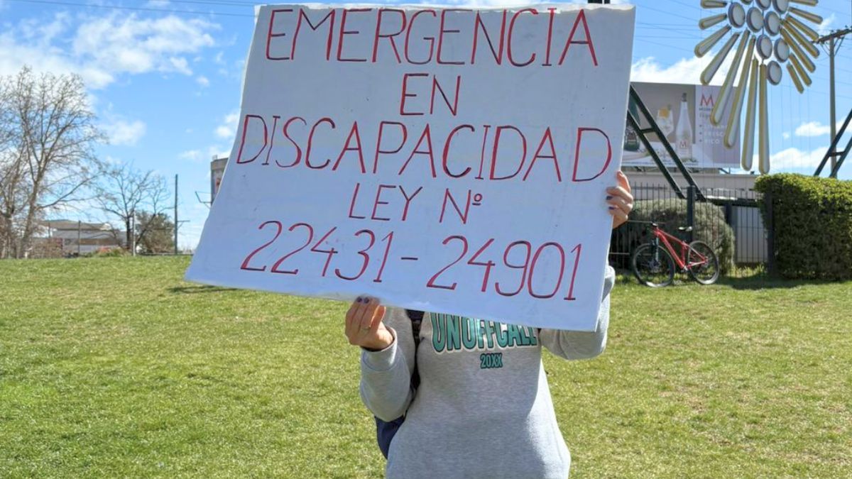Familias y profesionales siguen reclamando a Nación el cumplimiento de la Ley de Emergencia en Discapacidad. Familias y profesionales siguen reclamando a Nación el cumplimiento de la Ley de Emergencia en Discapacidad.