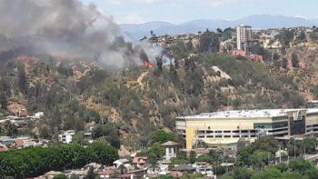 Alerta Roja en Viña del Mar por incendio forestal en sector de Miraflores Bajo