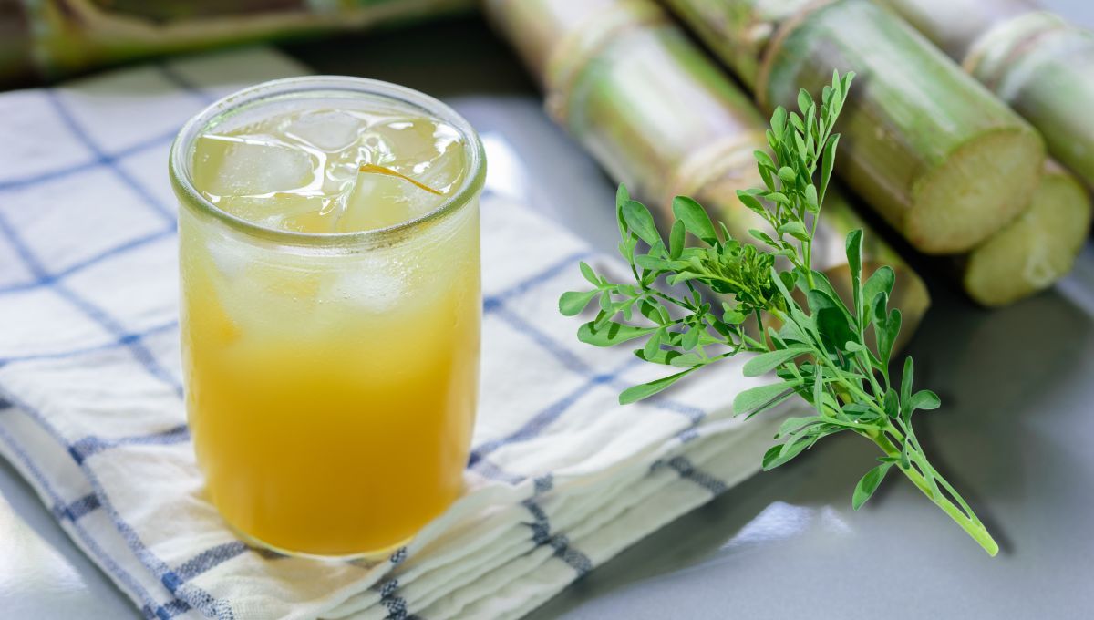 Por qué se debe caña con ruda el 1 de agosto: cuál es el origen de este ritual