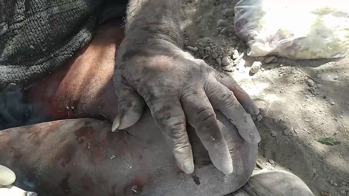 No se bañaba. Murió a los 94 años el hombre más sucio del mundo.