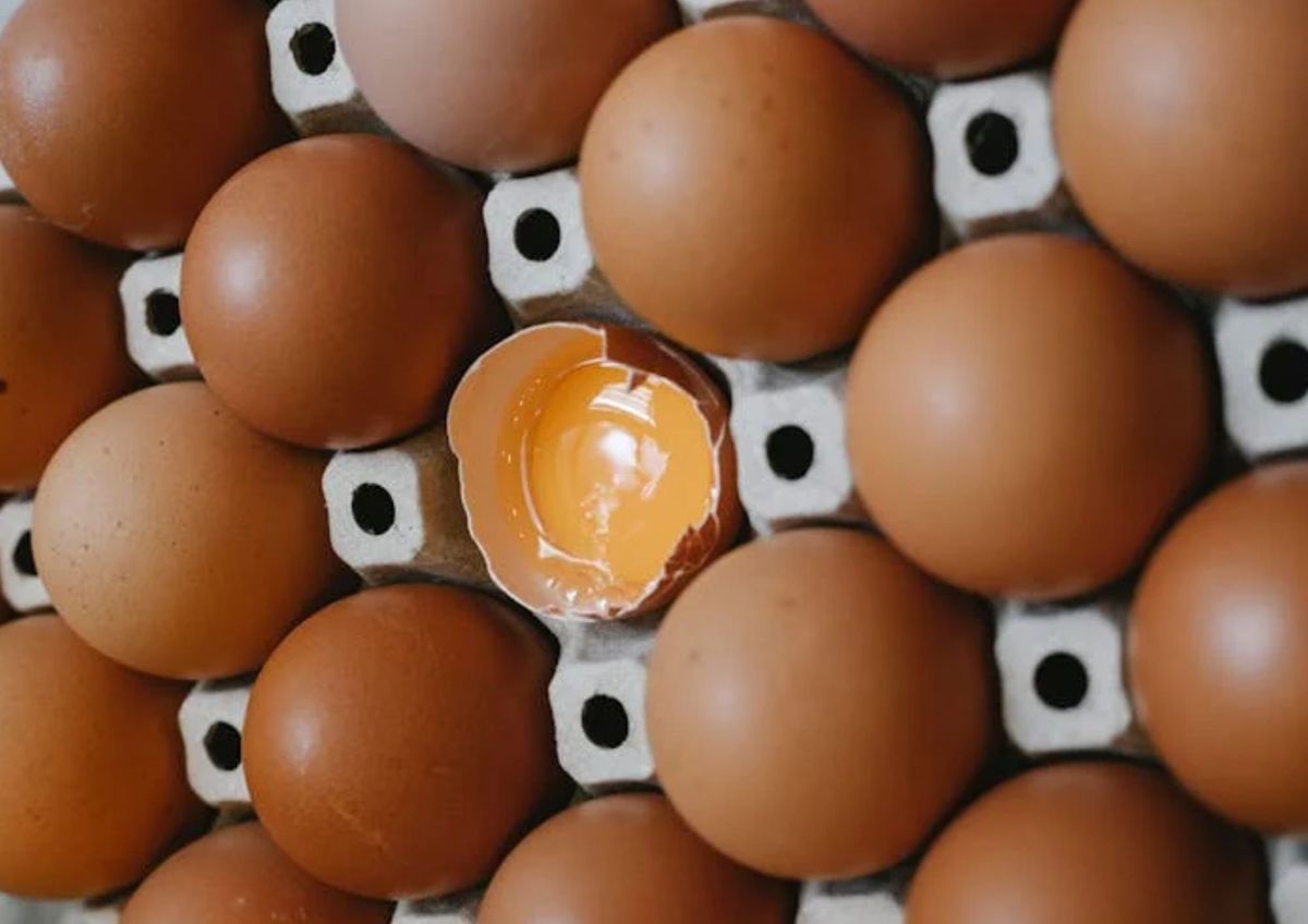 Cuántos huevos al día puedo comer