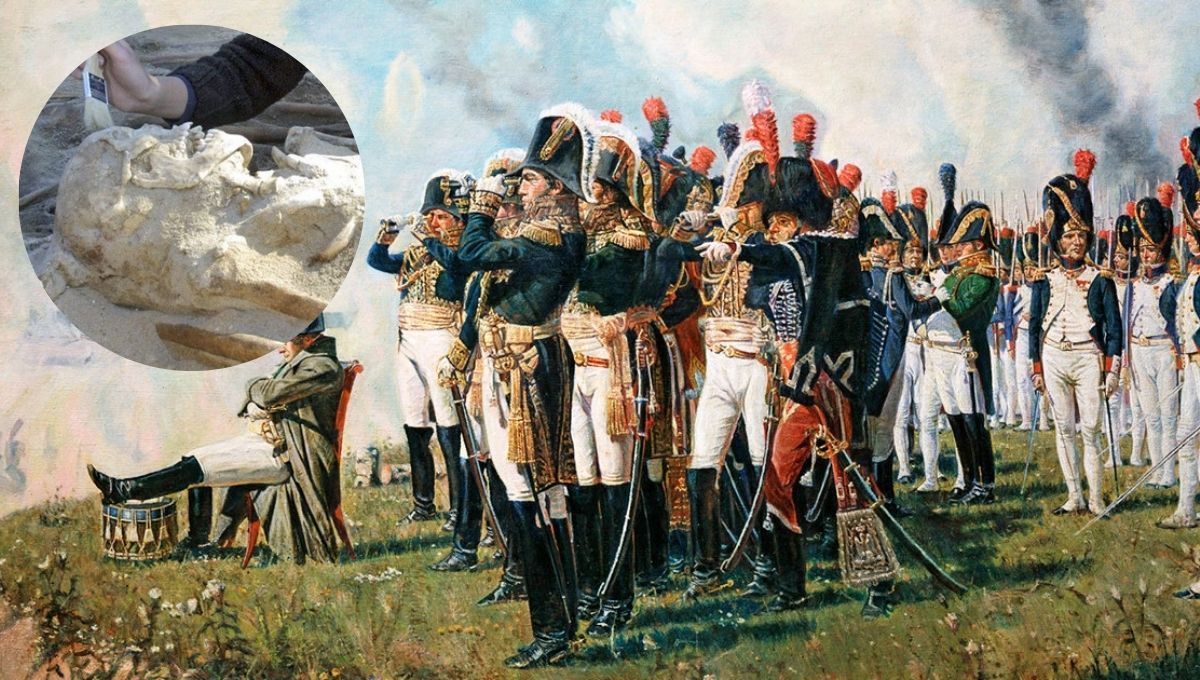 Un descubrimiento asombroso: la plaga que fue enemiga de Napoleón Bonaparte en Rusia