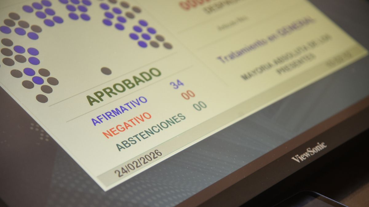 El Senado aprobó una ley para que las comunas tengan mayor autonomía para podar y erradicar árboles