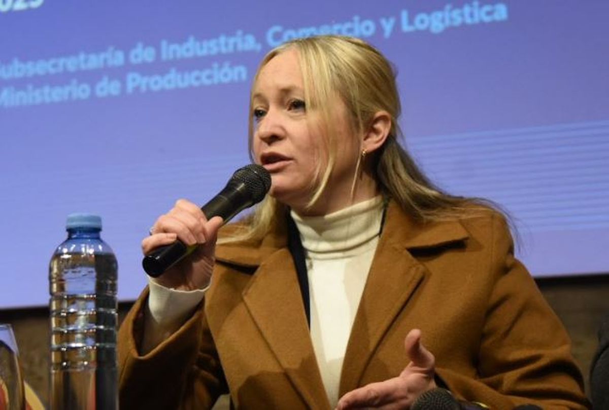Hebe Casado