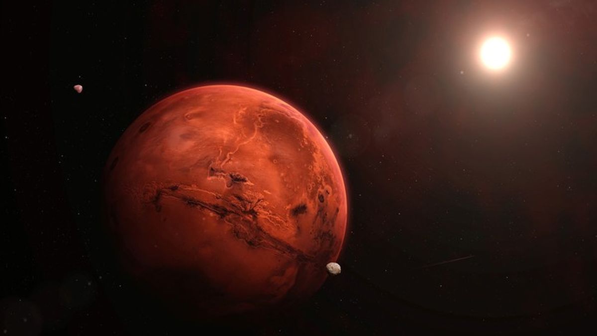 Los signos más beneficiados por el ingreso de Mercurio en Tauro, según la astrología Los signos más beneficiados por el ingreso de Mercurio en Tauro, según la astrología