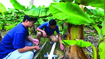 Innovación agrícola une China y América Latina Innovación agrícola une China y América Latina