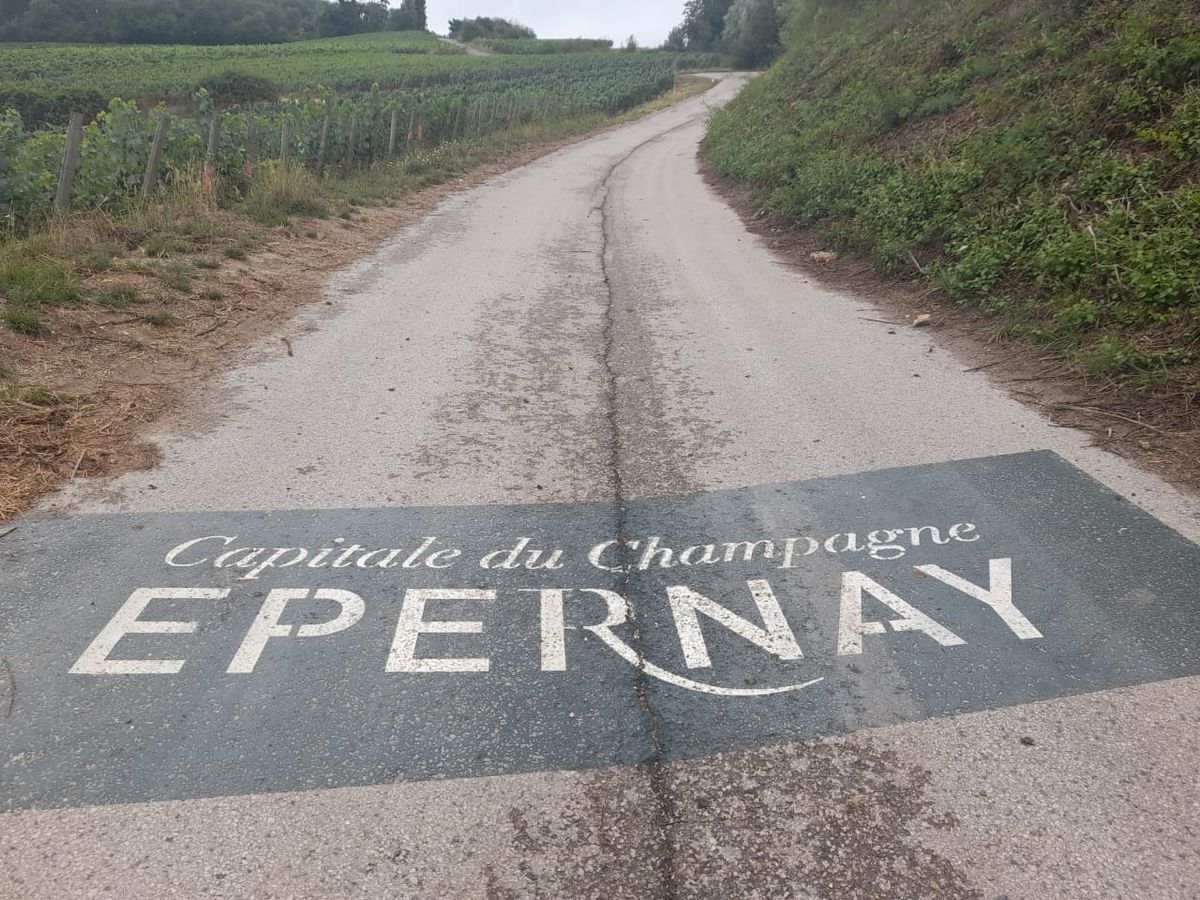 La calle por la que se ingresa a Epernay, el pueblo en donde se elabora el espumoso reconocido en el mundo. La calle por la que se ingresa a Epernay, el pueblo en donde se elabora el espumoso reconocido en el mundo.