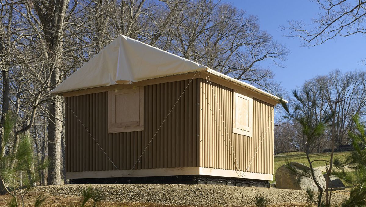 El arquitecto que convirtió el cartón en un refugio seguro.