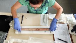 Por décadas estuvieron dentro de cajas en un museo y al abrirlas cambiaron la historia del hombre Por décadas estuvieron dentro de cajas en un museo y al abrirlas cambiaron la historia del hombre