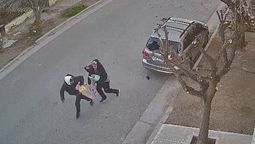 Los ladrones cometieron el robo con total impunidad y generaron mucho temor entre los vecinos del barrio de Neuquén.