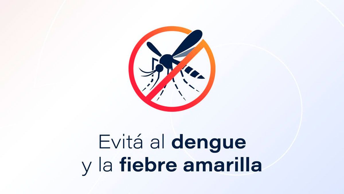 El dengue y la fiebre amarilla son enfermedades virales transmitidas por mosquitos.