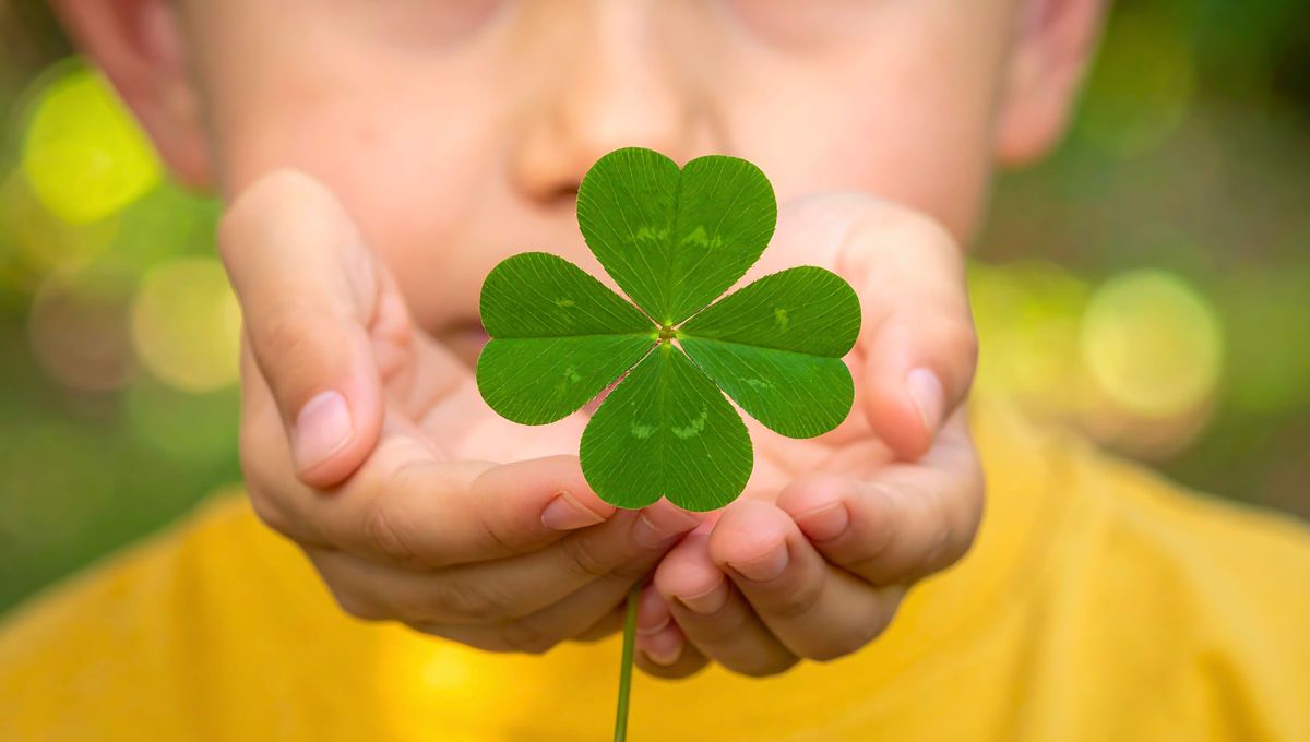 El amuleto para este domingo es el tr&eacute;bol de 4 hojas.