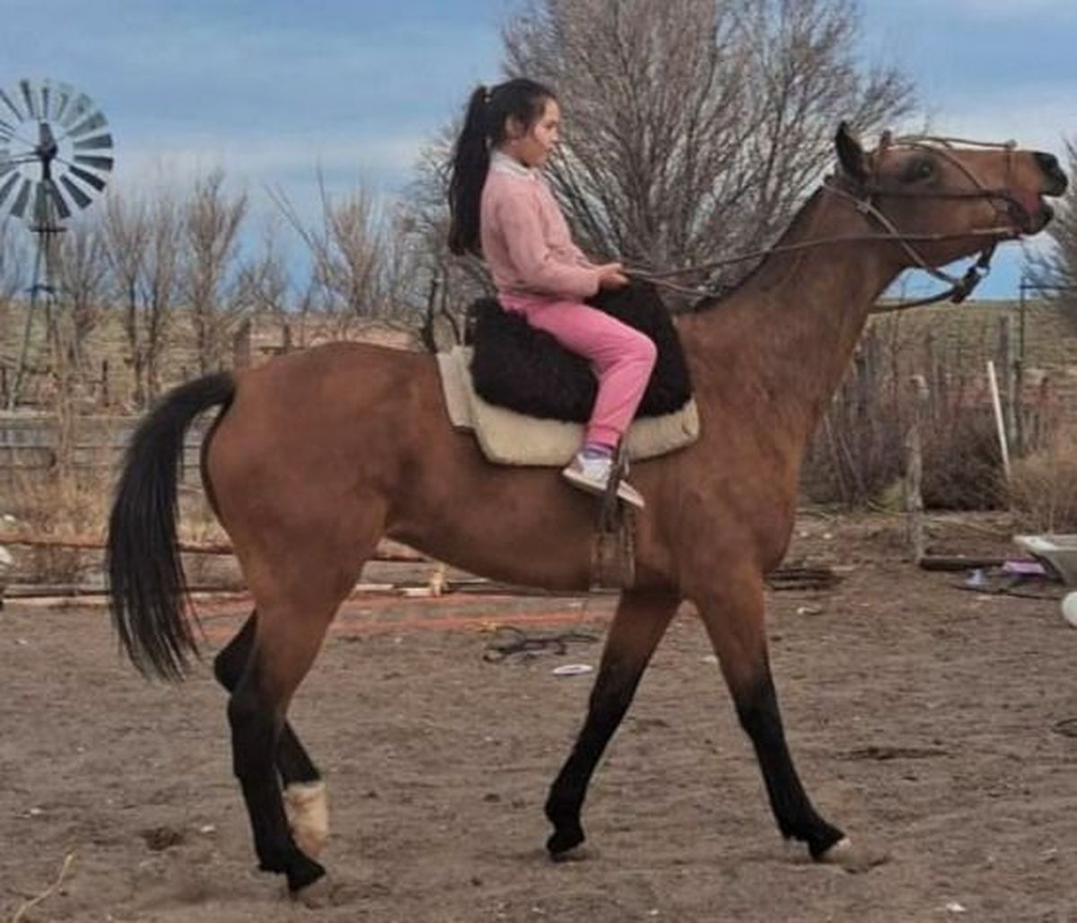 Luján pasa horas junto a su caballo. "Para este domingo alguna sorpresa voy a tener", se esperanzó. Luján pasa horas junto a su caballo. "Para este domingo alguna sorpresa voy a tener", se esperanzó.