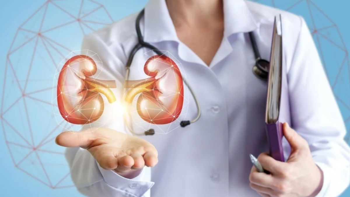 Día Mundial del Riñón: las 8 reglas de oro para cuidar la salud renal