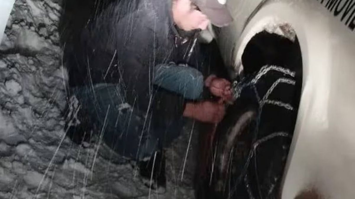 Milagro en la nieve: un peón rural se perdió en un fuerte temporal de nieve y fue salvado por sus perros Milagro en la nieve: un peón rural se perdió en un fuerte temporal de nieve y fue salvado por sus perros 